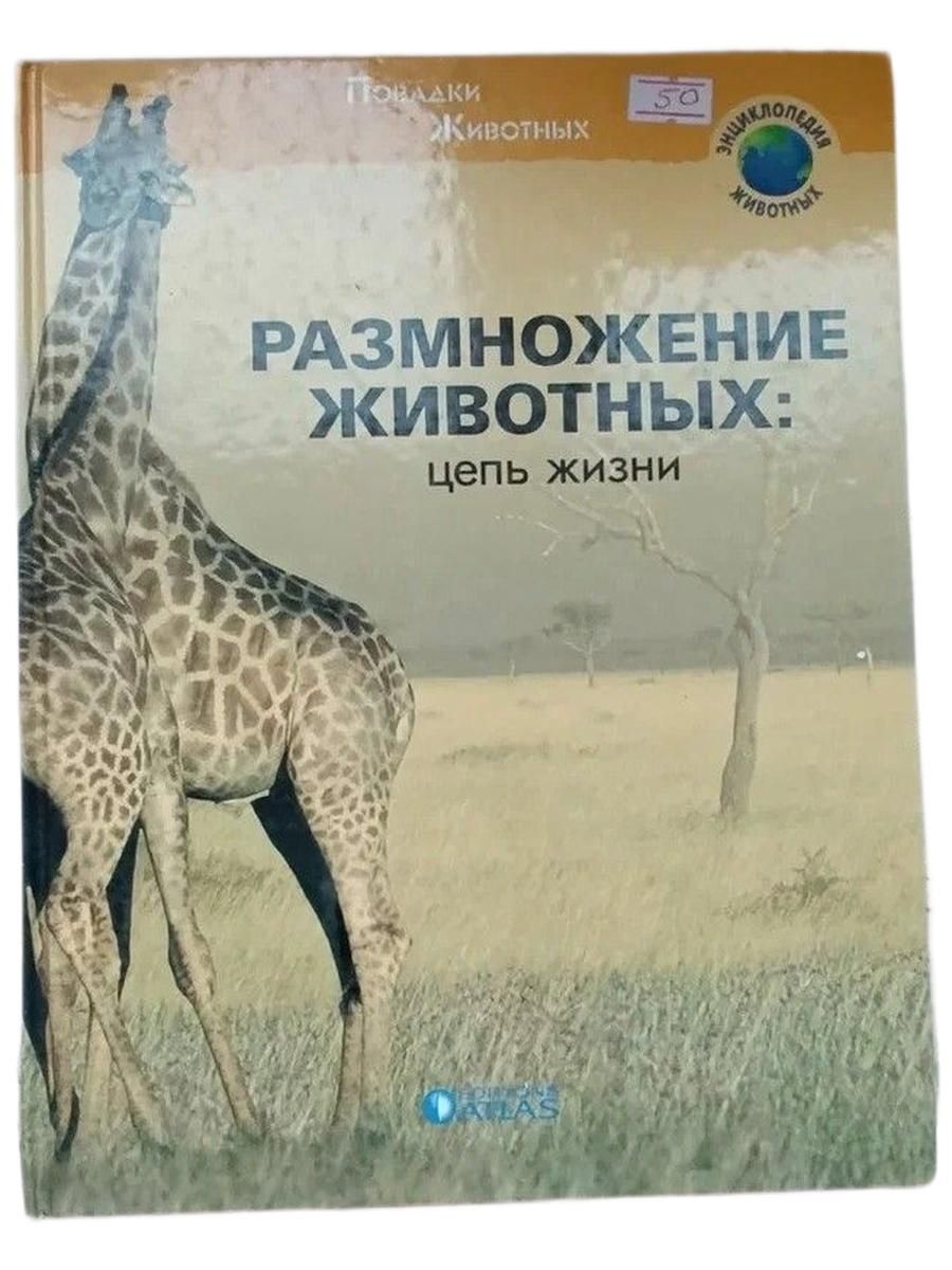 Размножение животных: цепь жизни