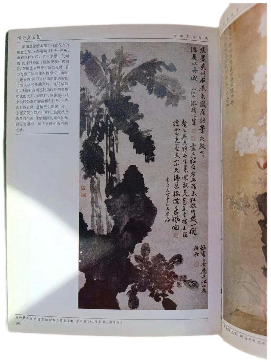 "The Famous Flowers and Birds Painting of China", "HUANIAO MINGHUA" (Цветы и птицы, знаменитые картины в жанре хуа-няо) Комплект из 3 книг. — изображение 6